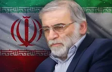 دبیرخانه شورای فرهنگ عمومی ترور دانشمند هسته‌ای برجسته کشورمان را محکوم کرد