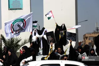 دبب