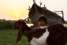 «یدو» پروانه نمایش گرفت