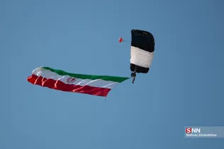 دبب
