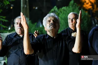 دبب