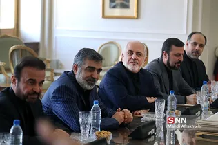 دیدار مدیرکل موقت آژانس بین‌المللی انرژی اتمی با ظریف