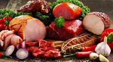 یک شرکت فناور فرآورده‌های پروتئینی غیرگوشتی تولید کرد