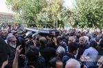 کاشانی