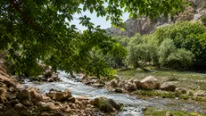 آزادسازی ۵ هکتار از اراضی ملی در منطقه «کهمان» لرستان
