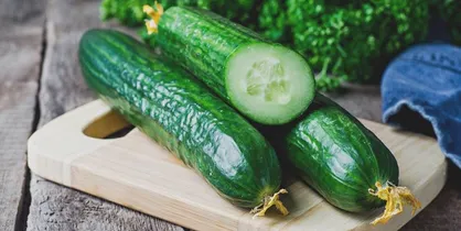 قیمت خیار در میادین میوه و تره بار کاهش یافت