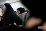 دانشگاه