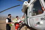 ۲۲ بهمن در شیراز - ۱۴۰۰