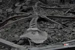 حمله آمریکا به تهران