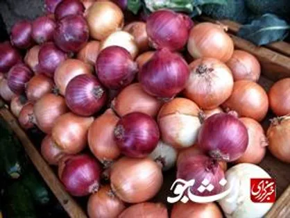 پیاز اشک مردم را درآورد