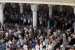 فطر