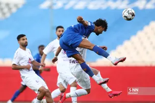 دبب