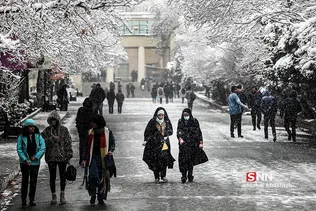 ریسش