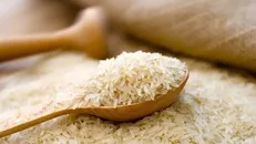بازار برنج پس از حذف ارز ترجیحی؛ انتظار برای رسیدن به تعادل مطلوب