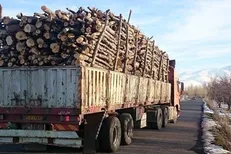 کشف ۱۵ تن چوب تاغ قاچاق از یک تریلی در شاهرود