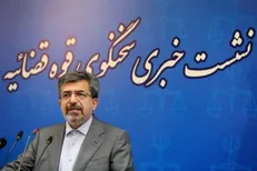 ستایشی: نشر اکاذیب به قصد تشویش اذهان عمومی قابلیت مجازات دارد