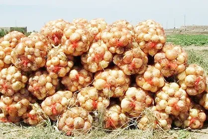 نماینده کهنوج خواستار سفر فوری وزیر جهادکشاورزی به جنوب استان کرمان شد+فیلم