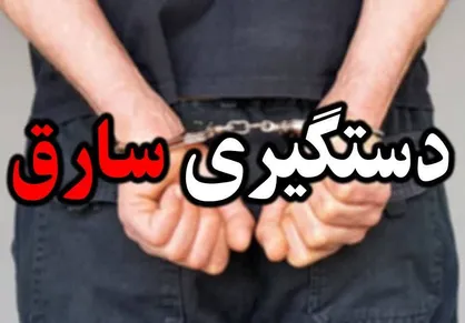 دستگیری سارق حرفه&zwnj;ای منزل در فردیس