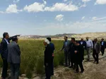 واحد تولیدی