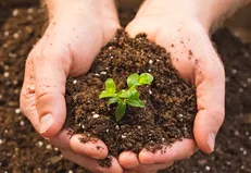 پیشنهادات ۶ گانه برای حفظ خاک کشور/ شورای عالی خاک به ریاست رئیس‌جمهور تشکیل شود