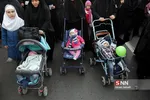 مشهد