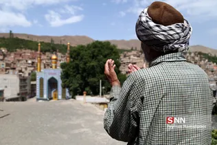 روستای خرو نیشابور بزرگترین تولید کننده آلو در ایران