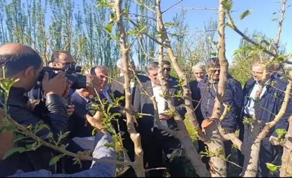 خسارت ۴ همتی به بخش کشاورزی آذربایجان غربی