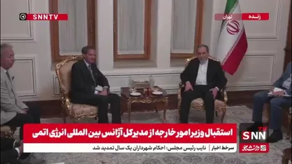 دیدار و گفتگوی رافائل گروسی، مدیرکل آژانس بین&zwnj;المللی انرژی اتمی با سید عباس عراقچی