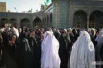 فطر