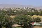 تخریب باغات