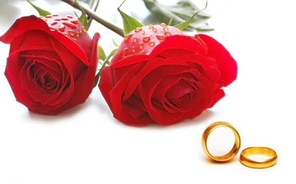 جشن پیوند آسمانی هزار زوج جوان در جوار امام&zwnj;زادگان اصفهان برگزار شد