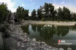باغ گیاه شناسی