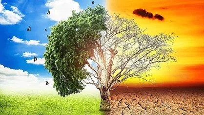 رشد دمای زاگرس بیش از میانگین جهانی/ تغییر اقلیم در یک&zwnj;سوم مساحت ایران محرز شد