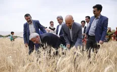 اجرای طرح جهش تولید در ۴ میلیون و ۲۰۰ هزار هکتار از اراضی دیم کشور توسط ستاد اجرایی فرمان امام (ره)
