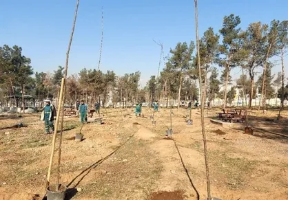 آغاز عملیات حذف و جایگزینی درختان آلوده در بوستان سرخه&zwnj;حصار