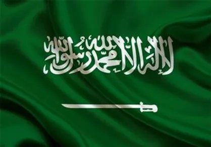 گفت و شنود/ جوجه مرغ!