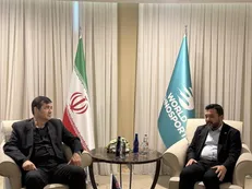 دنیامالی: مردم ایران زیر بار ذلت و سازش نمی‌روند/ ظرفیت جوانان ایران در خدمت دنیای اسلام است