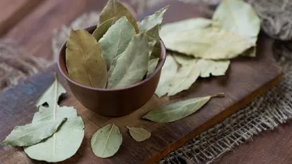 با برگ بو به جنگ سرماخوردگی و آنفلوانزا بروید