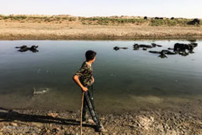 حال هورالعظیم اندکی بهتر شد