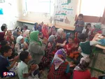 اردوی جهادی رهپویان شهادت