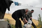 شهید حججی
