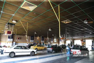 شسشسب