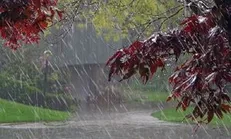 بارش شدید در چهار استان در ۲ روز آینده