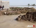 تلاش گروه های جهادی استان خوزستان برای کمک به سیل زدگان