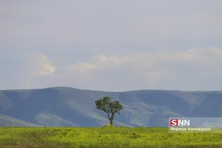 جلوه های زیبای طبیعت