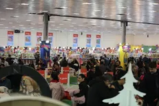 استقبال خانواده‌ها از یک رویداد کودکانه/ جشنواره اسباب بازی تا ۲۷ دی ادامه دارد