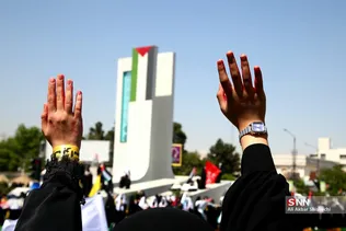 دبب