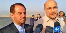 قالیباف: بحث آفت درختان بلوط زاگرس یکی از دغدغه‌های ماست
