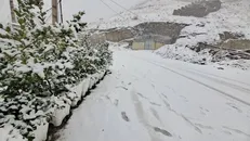 هشدار بارش برف و باران در نیمه غربی