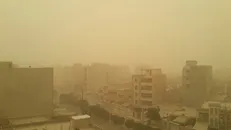 وزش باد در نوار شرقی/ گرد و خاک مهمان زابل می‌شود/ دریای خزر مواج است